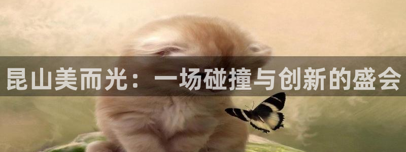 征途国际娱乐：昆山美而光：一场碰撞与创新的盛会