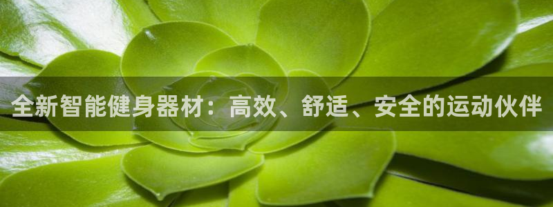 征途国际娱乐网站：全新智能健身器材：高效、舒适、安全
