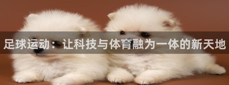 征途国际娱乐：足球运动：让科技与体育融为一体的新天地