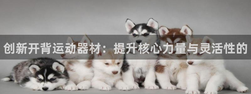 征途国际招商电话是多少号码：创新开背运动器材：提升核
