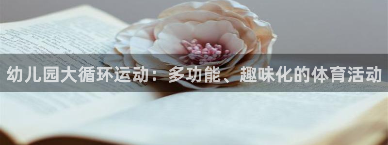 征途国际娱乐40996：幼儿园大循环运动：多功能、趣味化的体