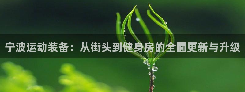 征途国际娱乐代理怎么样：宁波运动装备：从街头到健身房的全面更