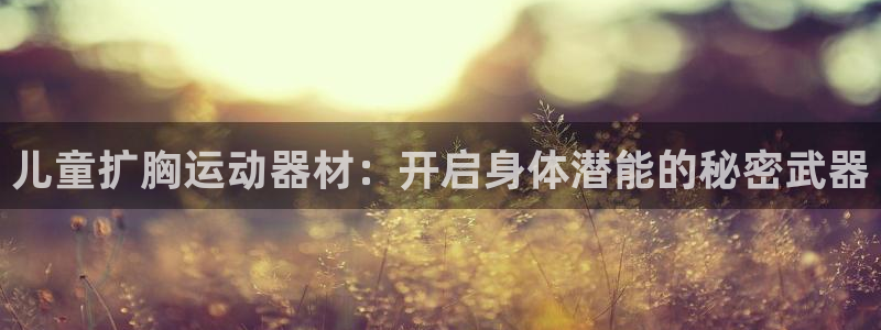 海南征途国际