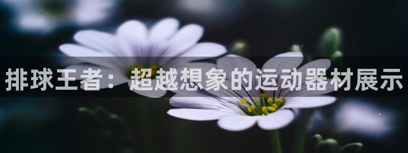 征途国际招商电话地址是多少：排球王者：超越想象的运动器材展示