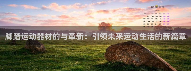 征途国际平台注册流程图：脚踏运动器材的与革新：引领未