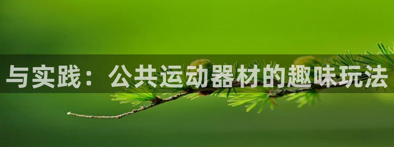 征途国际集团：与实践：公共运动器材的趣味玩法