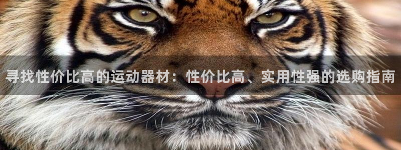 征途国际招商电话号码：寻找性价比高的运动器材：性价比