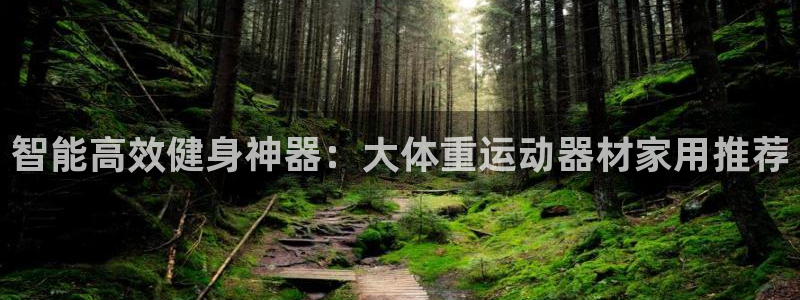 征途国际集团官网网址：智能高效健身神器：大体重运动器