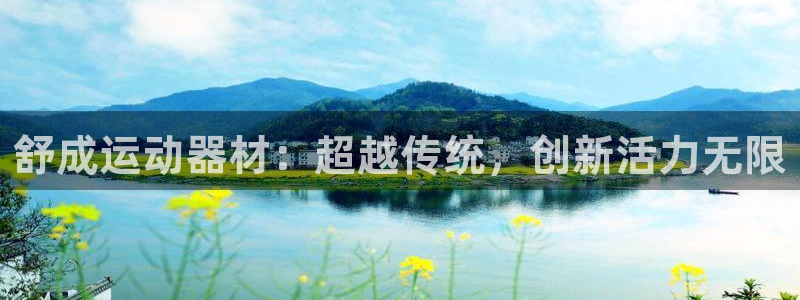 征途国际集团官网：舒成运动器材：超越传统，创新活力无
