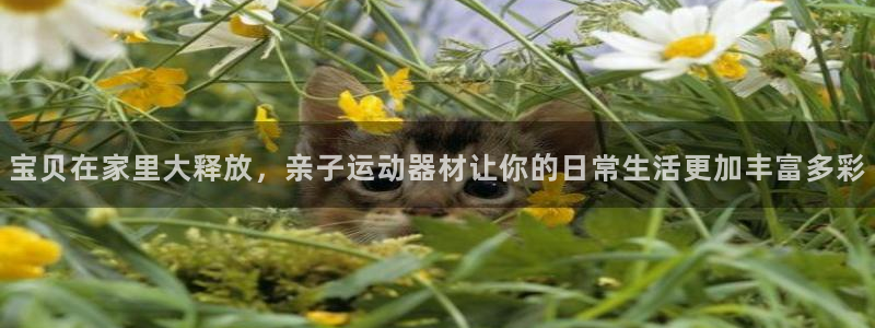 征途国际：宝贝在家里大释放，亲子运动器材让你的日常生
