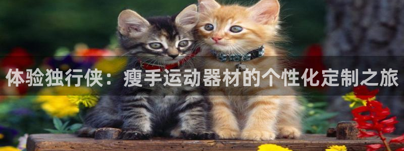 征途国际招商：体验独行侠：瘦手运动器材的个性化定制之旅