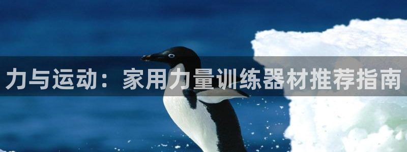 征途国际招商电话号码查询是多少