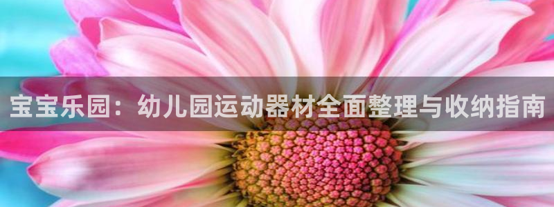 征途国际五金厂：宝宝乐园：幼儿园运动器材全面整理与收纳指南