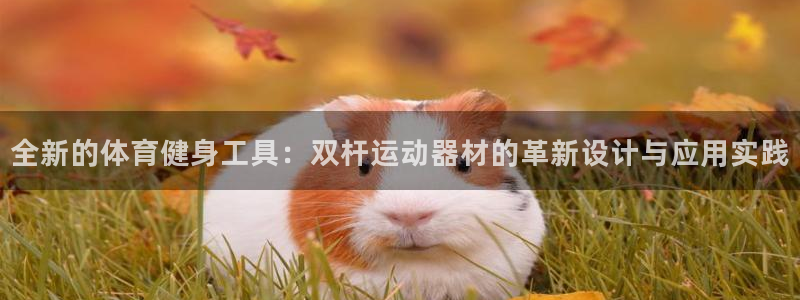 征途国际招商电话是多少号码：全新的体育健身工具：双杆运动器材