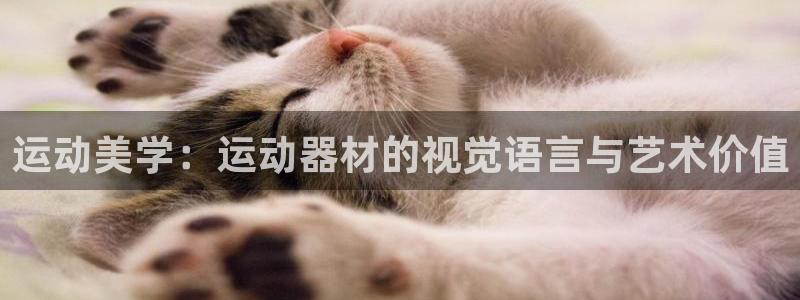 征途国际集团官网首页网址：运动美学：运动器材的视觉语言与艺术